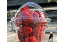 ◎WEB予約でリボンポイント3ポイント◎【西尾発】*日帰り昼食付*『GW(ゴールデンウィーク)プチ旅 ミステリーツアー』2